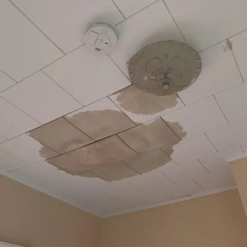 Ceiling Water Damage Repair in Woodbury, TN