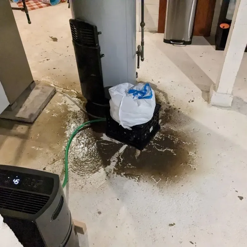 Sewage Backup Cleanup Service in Woodbury, TN